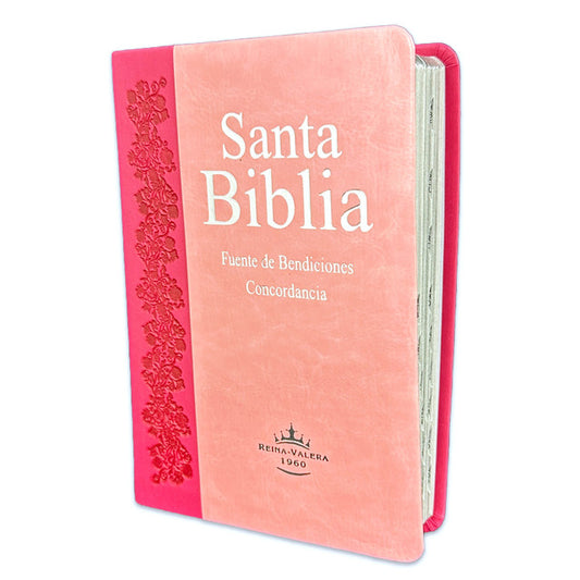 Biblia Fuente de Bendiciones, Compacta RV1960, imit. piel, rosa y fucsia, con índice