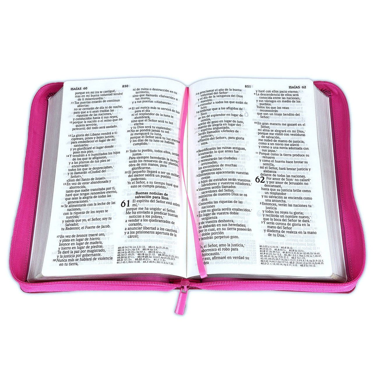 Biblia Letra Grande con Cierre Reina-Valera 2020: imit. piel rosado