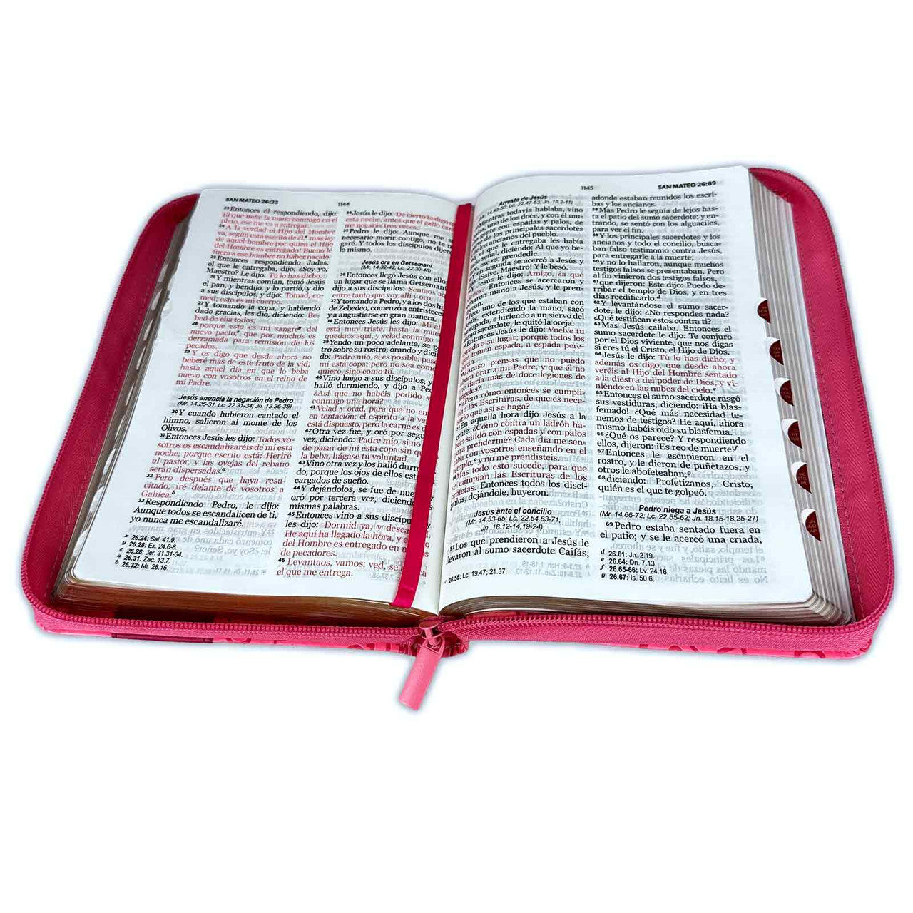 Biblia con Cierre Letra Grande 12 puntos RV1960 imit. rosado con índice - Nombres de Jesús