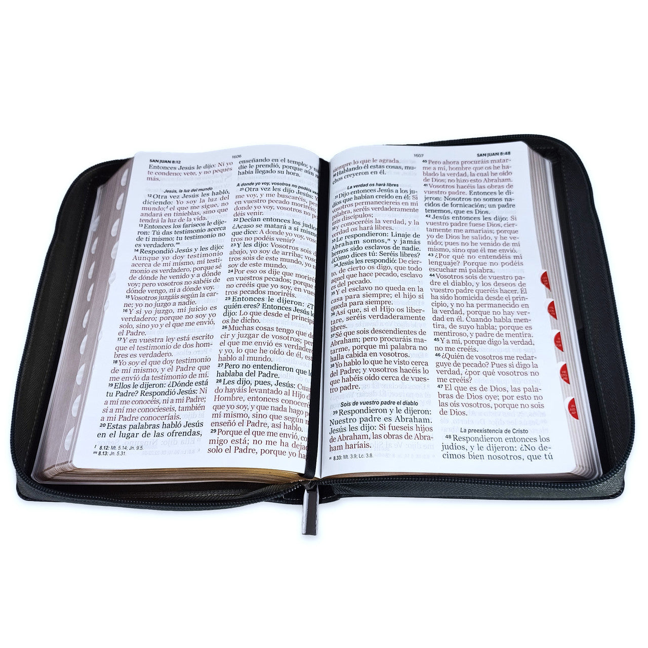 Biblia León con Cierre Letra Gigante Manual 14 puntos RV1960 imit piel negro con índice