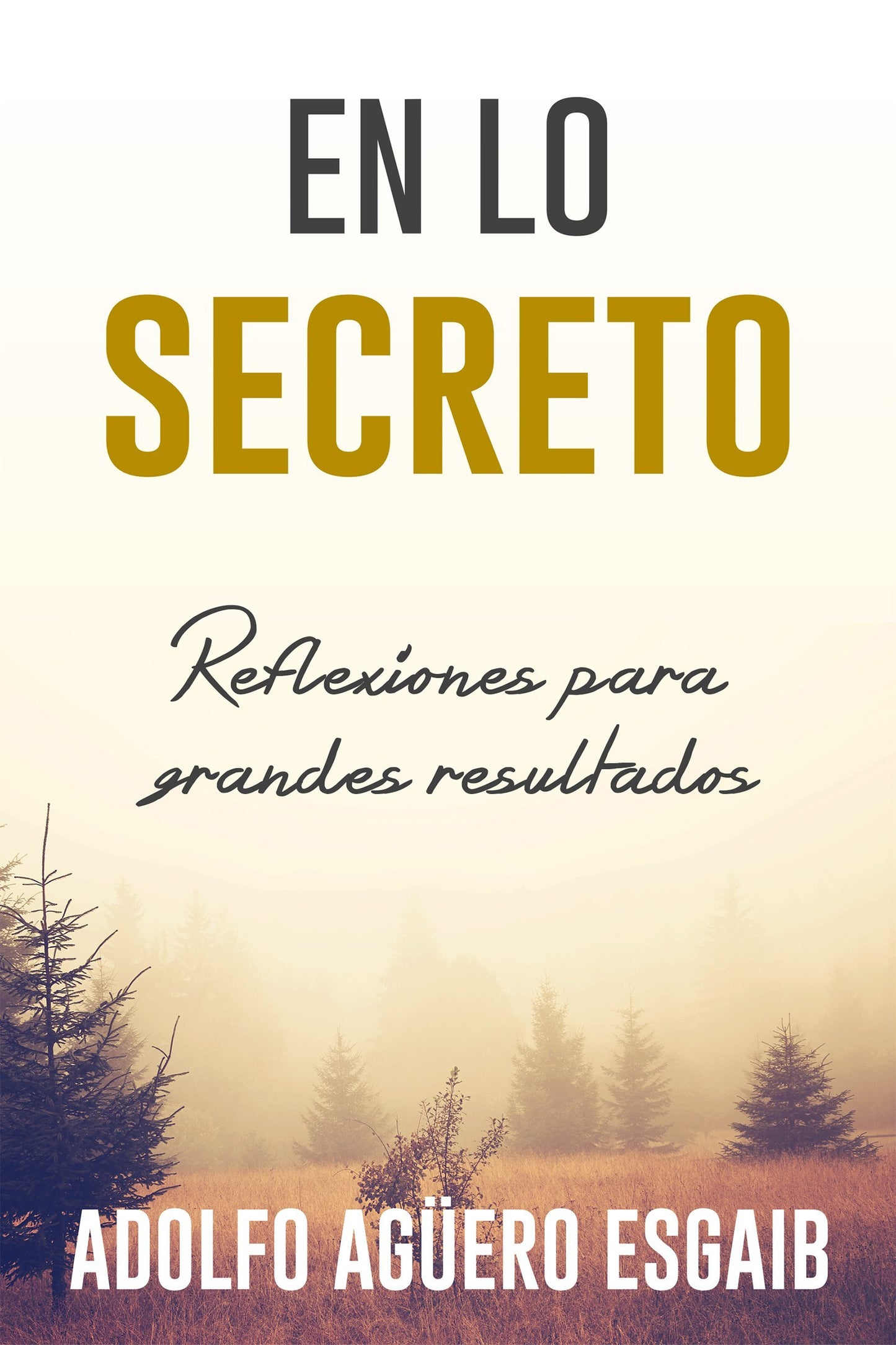 En lo secreto: Reflexiones para Grandes Resultados